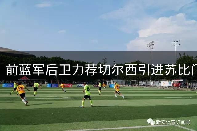 前蓝军后卫力荐切尔西引进苏比门迪
