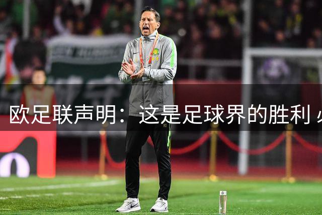 欧足联声明：这是足球界的胜利 必须查明责任人并追究责任