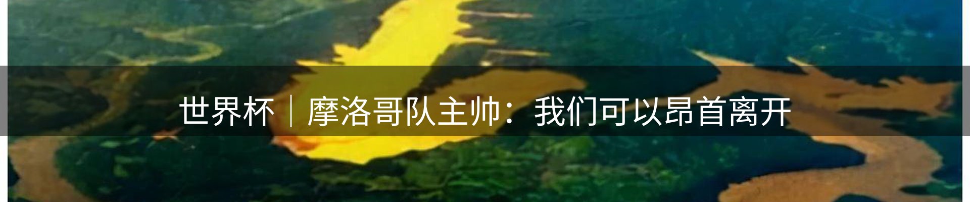网站资讯