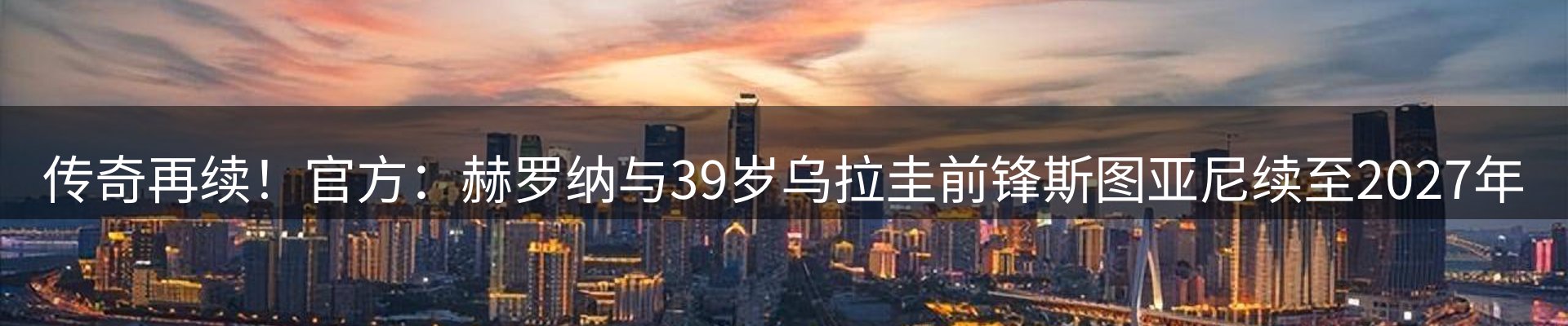 网站资讯