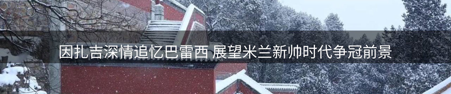 网站资讯