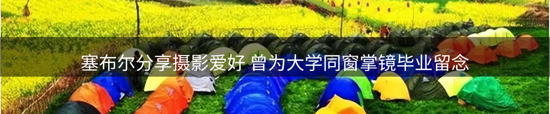 网站资讯