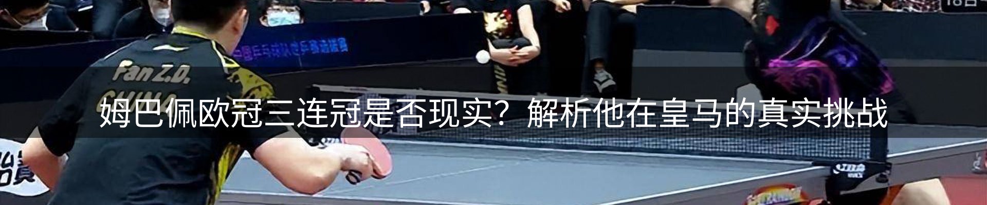 网站资讯