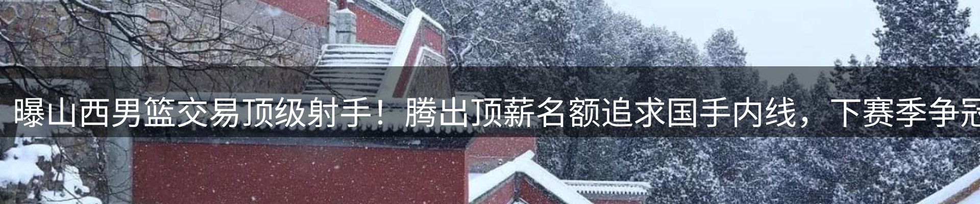 网站资讯