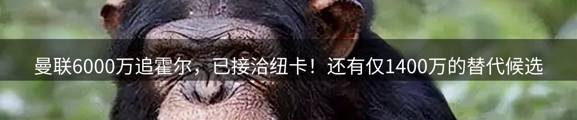 网站资讯