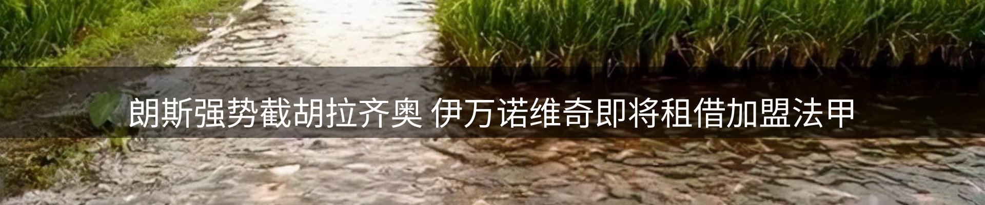 网站资讯