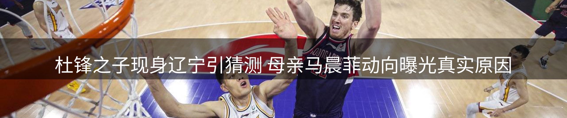 网站资讯