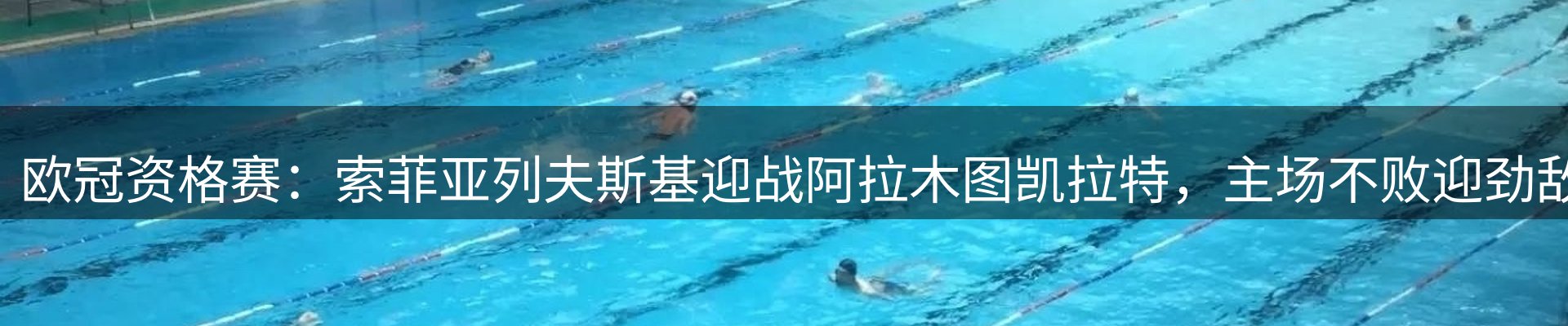 网站资讯
