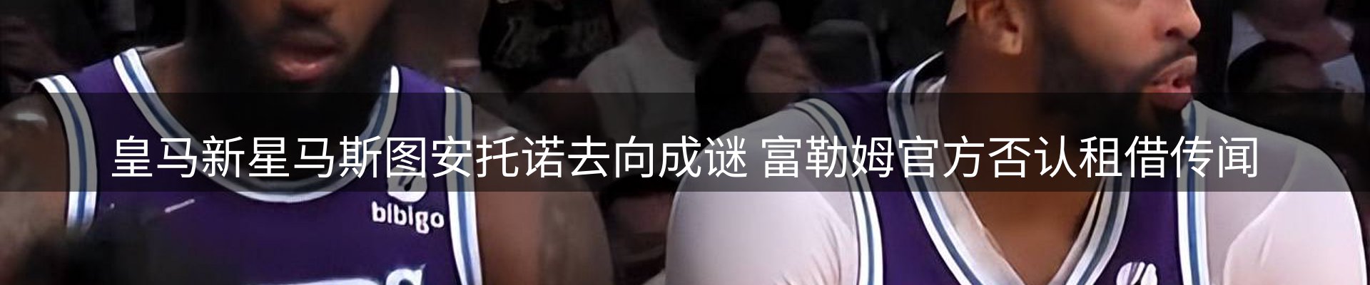 网站资讯