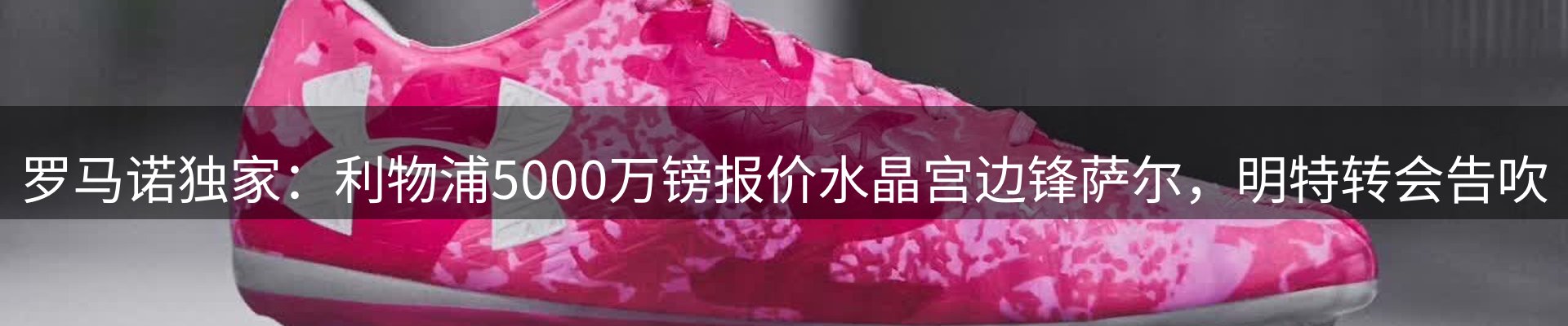 网站资讯
