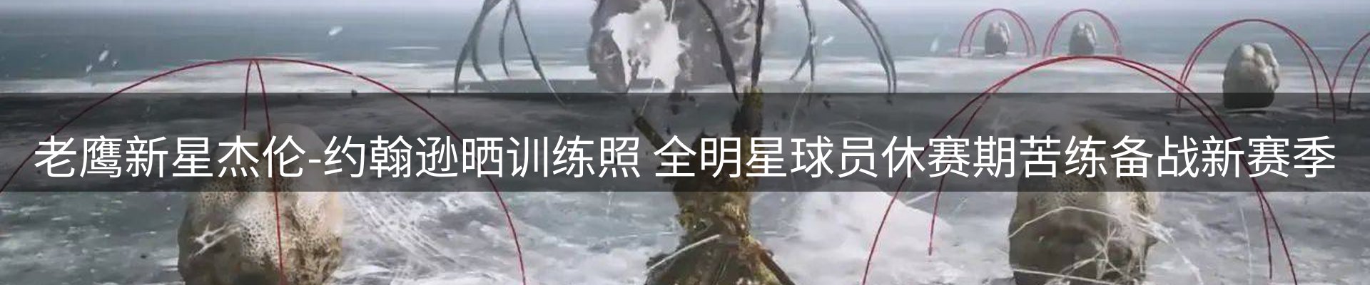 网站资讯