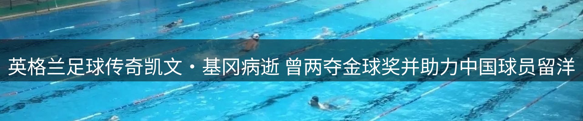 网站资讯