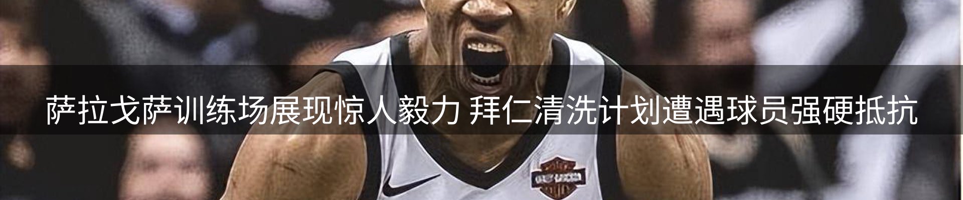 网站资讯