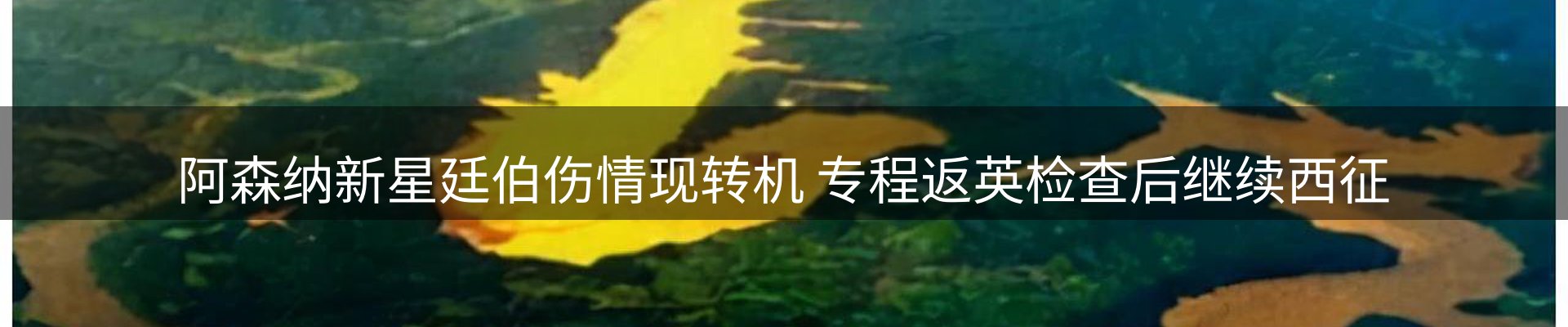 网站资讯