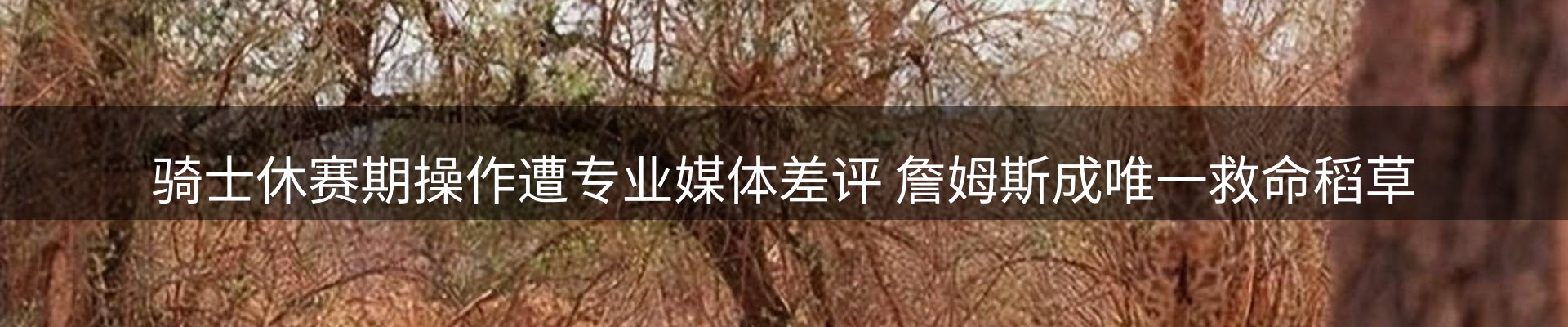 网站资讯