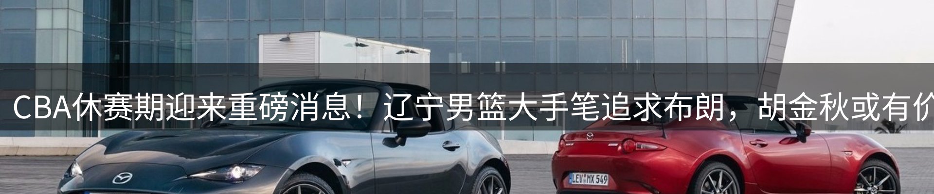 网站资讯
